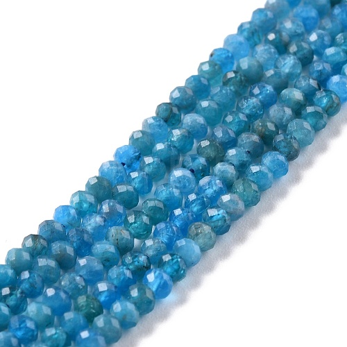 Natural Apatite Beads Strands G-K312-20B-1