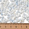 Baking Paint Glass Seed Beads SEED-F006-01A-02-4