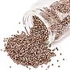 MIYUKI Delica Beads X-SEED-J020-DB2504-1