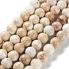 Dyed Natural Regalite/Imperial Jasper/Sea Sediment Jasper Beads Strands X-G-B124-C01-17-1