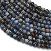Natural Dumortierite Beads Strands G-Z116-A26-3mm-4