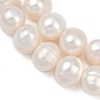 Natural Cultured Freshwater Pearl Beads Strands PEAR-I007-07J-02A-4