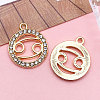 Zinc Alloy Crystal Rhinestone Pendants WGC2D94-04-1