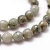 Natural Labradorite Beads Strands G-D840-10-6mm-3