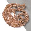 Natural Multi-Moonstone Chip Beads Strands G-M205-19A-1