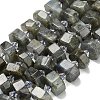 Natural Labradorite Beads Strands G-L642-H05-01-2