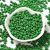 Baking Paint Glass Seed Beads X1-SEED-B001-02A-05-2
