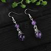 Natural Gemstone Dangle Earrings EJEW-JE01374-2