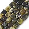 Natural Yellow Turquoise(Jasper) Beads Strands G-D098-D14-2