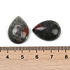 Natural Africa Bloodstone Cabochons G-H094-01A-17-3