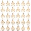   50Pcs Alloy Charms FIND-PH0010-52-1
