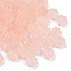 Frosted Transparent Acrylic Beads OACR-P029-03B-02-2