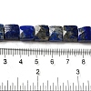 Natural Lapis Lazuli Beads Strands G-C109-A17-02-5