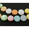 Natural Shell Beads Strands X-SHS034-1-1