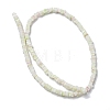 Handmade Lampwork Beads Strands LAMP-Q037-02A-07-2