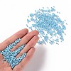 Opaque Glass Seed Beads SEED-S023-01C-03-4