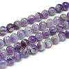 Natural Amethyst Bead Strands G-T049-12mm-23-1