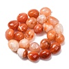 Natural Red Botswana Agate Beads Strands G-G117-A05-06-5