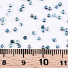 6/0 Glass Seed Beads X-SEED-A016-4mm-217-3