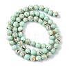 Sea Shell and Synthetic Turquoise Assembled Beads Strands G-G758-07-6mm-7
