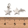 Non-Tarnish 201 Stainless Steel Charms STAS-E217-25B-P-3