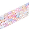 Anti-Tarnish Electroplate Glass Beads Strands GLAA-T025-29F-1