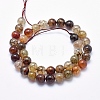 Natural Dragon Veins Agate Beads Strands G-K256-62-10mm-2