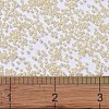 MIYUKI Delica Beads X-SEED-J020-DB1900-4