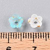 Frosted Transparent Acrylic Beads OACR-N137-72I-4