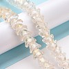 Transparent Glass Beads Strands LAMP-H061-01D-02-2