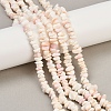 Natural Pink Shell Beads Strands SSHEL-L016-19-1