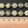 Natural Green Rutilated Quartz Beads Strands G-C116-A145-01-6
