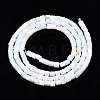 Natural Freshwater Shell Beads Strands SHEL-N034-29A-01-2