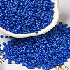 Baking Paint Glass Seed Beads SEED-P006-03A-25-1