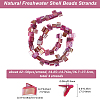 4 Strands Dyed Natural Freshwater Shell Beads Strands SHEL-BBC0001-14C-2