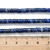 Natural Lapis Lazuli Beads Strands G-Z110-A38-2x4mm-5