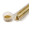 Plastic Glitter Powder Fillers AJEW-H144-01A-1