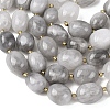 Natural Cloudy Quartz Beads Strands G-G453-D08-01-4