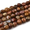 Natural Petrified Wood Beads Strands G-L621-C11-02-2