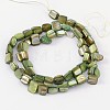 Erose Shell Beads Strands PBB068Y-2