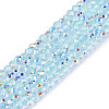 Transparent Glass Beads Strands LS-EGLA-N028-01A-A06-1