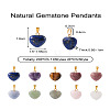 Fashewelry 20Pcs 10 Styles Natural Mixed Gemstone Pendants G-FW0001-39-25