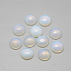 Opalite Cabochons X-G-R416-6mm-49-1