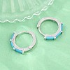 Brass Micro Pave Cubic Zirconia Hoop Earrings KK-CBA8324-12G-01-2