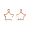 304 Stainless Steel Charms LS-STAS-P227-21RG-2