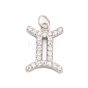 316 Stainless Steel Micro Pave Cubic Zirconia Pendants STAS-K284-01I-P-1