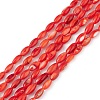 Natural Freshwater Shell Dyed Beads Strands X-SHEL-M018-13-05-1