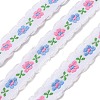 Polyester Lace Ribbon FB-CBA2A5D-01A-1