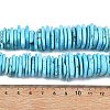 Natural Howlite Beads Strands G-A302-A01-02-6