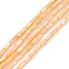 Natural Freshwater Shell Dyed Beads Strands SHEL-M018-11-2